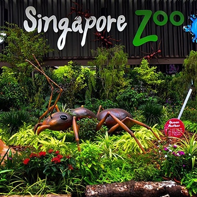 Singapore for Kids