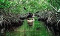 Glimpses of Andaman’s
