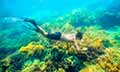 Delightful Andaman’s