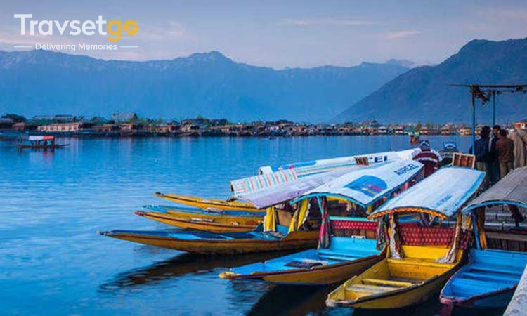 Kashmir Bliss