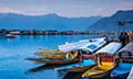 Kashmir Bliss