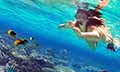 Exotic Andaman