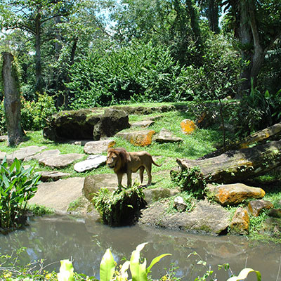 Discover-Singapore-with-Malaysia
