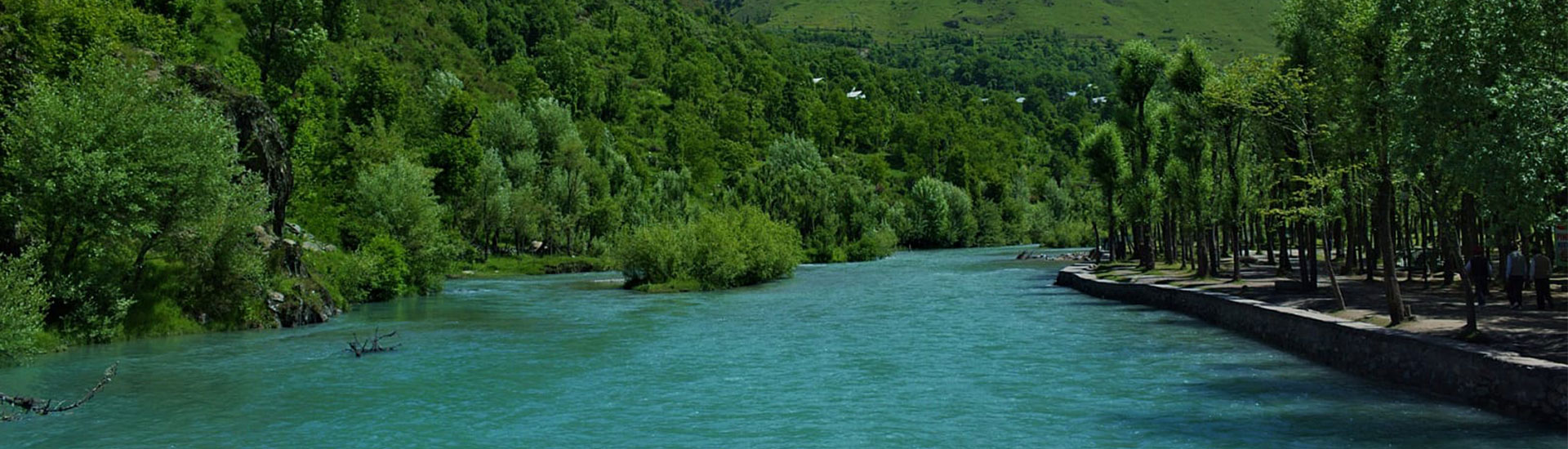 Kashmir Bliss