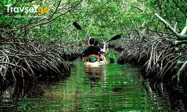 Glimpses of Andaman’s