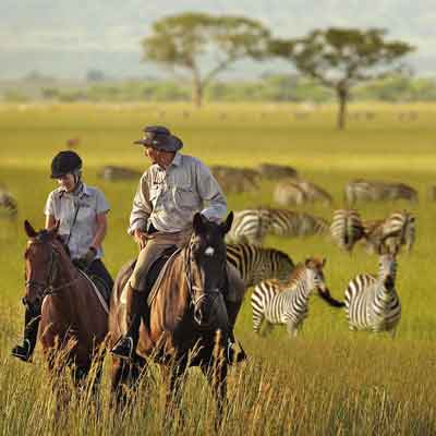 Adventurous Kenya South Africa