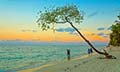 Glimpses of Andaman’s